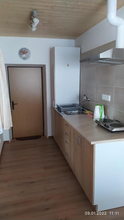 Ferienwohnung Apartman Pod Zalym Benecko Exterior foto